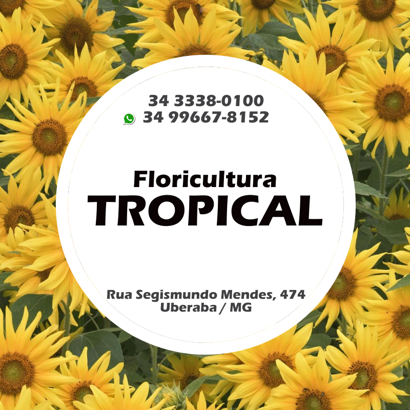 Floricultura Tropical